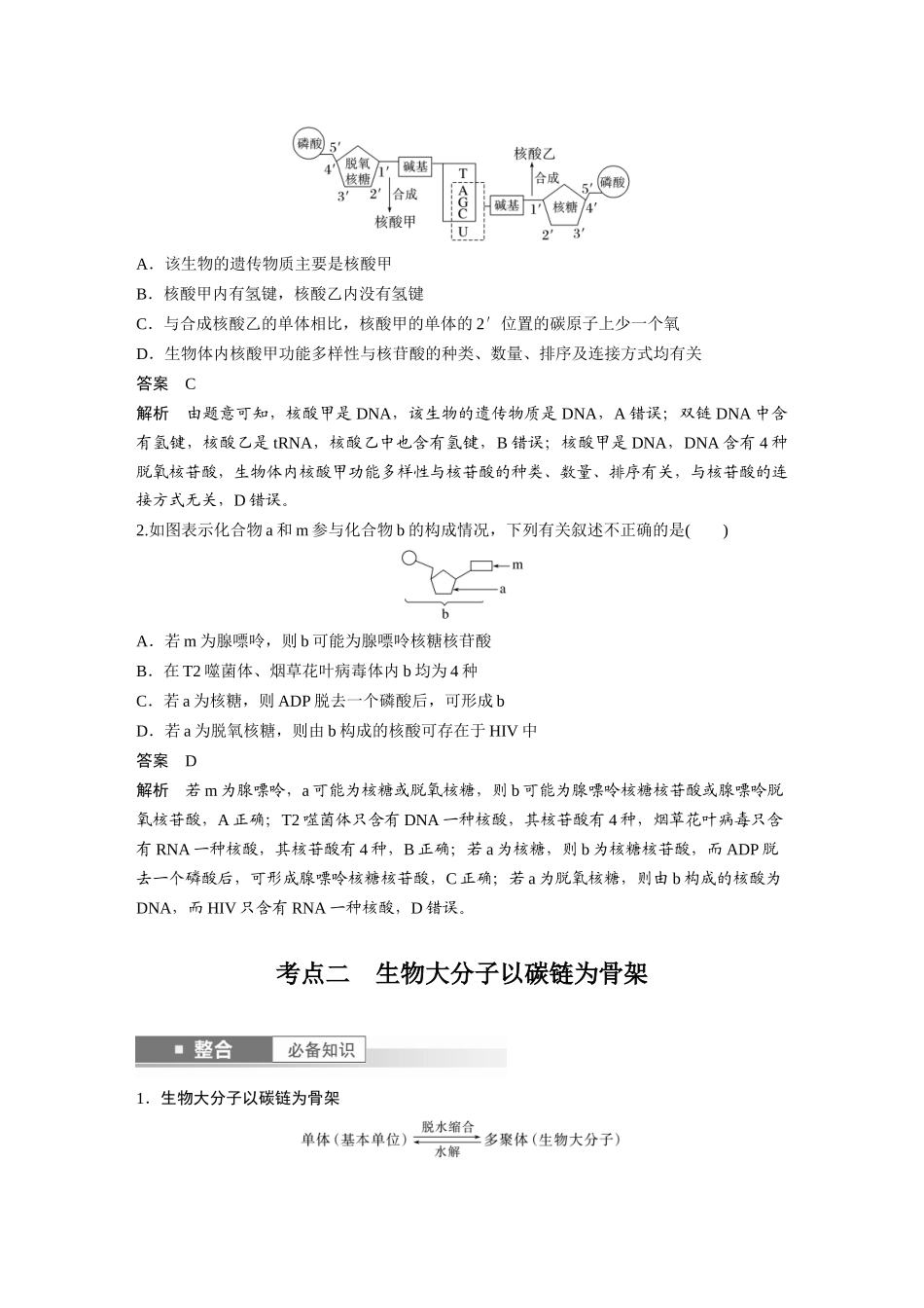 2026创新设计高考总复习生物（人教版）-第一单元　第5课时　核酸是遗传信息的携带者.docx_第3页
