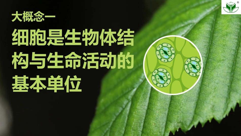 2026创新设计高考总复习生物（人教版）复习讲义-第1课时　走近细胞.pptx_第1页