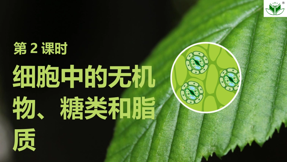 2026创新设计高考总复习生物（人教版）复习讲义-第2课时　细胞中的无机物、糖类和脂质.pptx_第1页