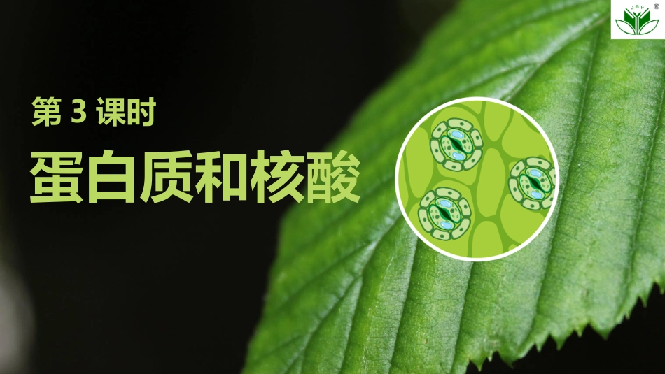 2026创新设计高考总复习生物（人教版）复习讲义-第3课时　蛋白质和核酸.pptx_第1页