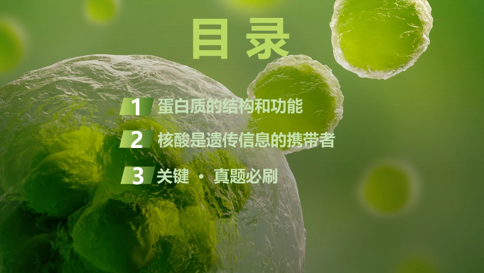 2026创新设计高考总复习生物（人教版）复习讲义-第3课时　蛋白质和核酸.pptx_第3页