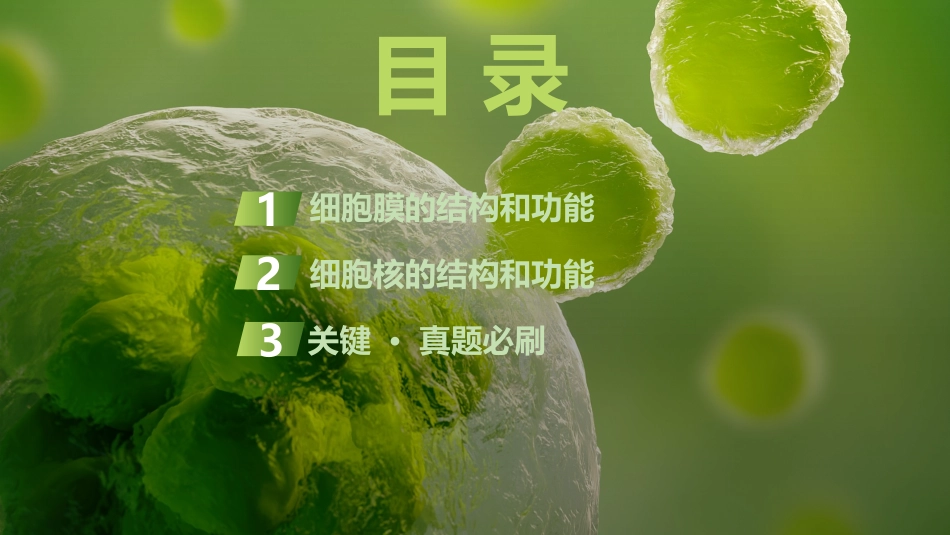 2026创新设计高考总复习生物（人教版）复习讲义-第4课时　细胞膜与细胞核的结构和功能.pptx_第3页
