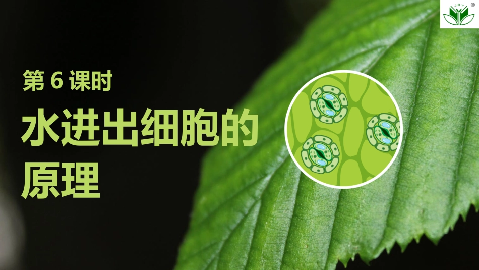 2026创新设计高考总复习生物（人教版）复习讲义-第6课时　水进出细胞的原理.pptx_第1页