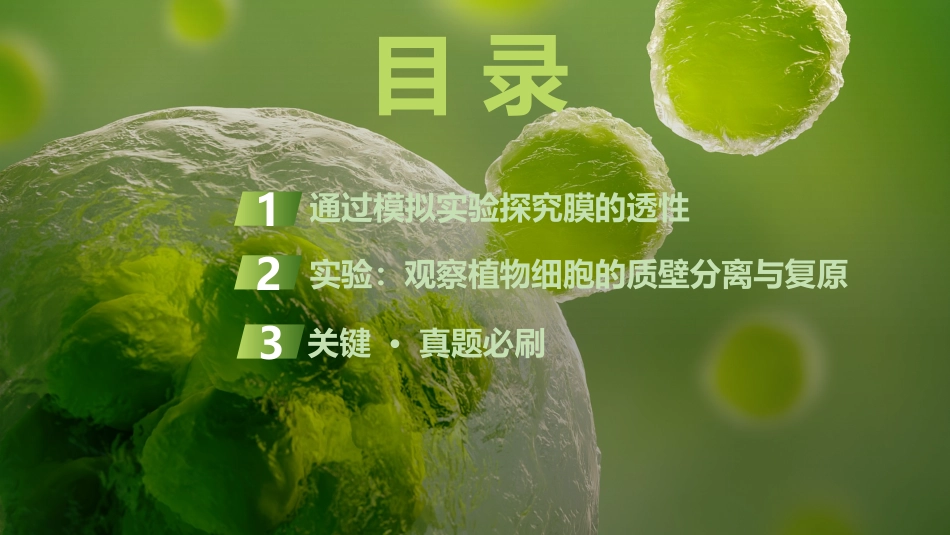 2026创新设计高考总复习生物（人教版）复习讲义-第6课时　水进出细胞的原理.pptx_第3页