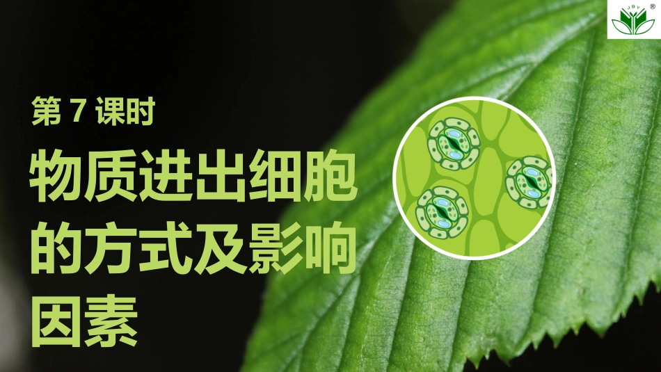 2026创新设计高考总复习生物（人教版）复习讲义-第7课时　物质进出细胞的方式及影响因素.pptx_第1页