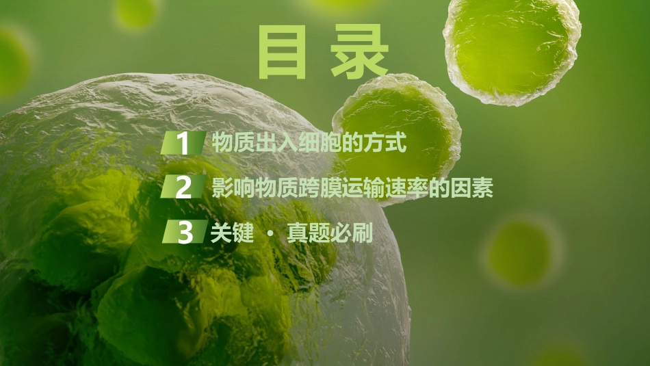 2026创新设计高考总复习生物（人教版）复习讲义-第7课时　物质进出细胞的方式及影响因素.pptx_第3页
