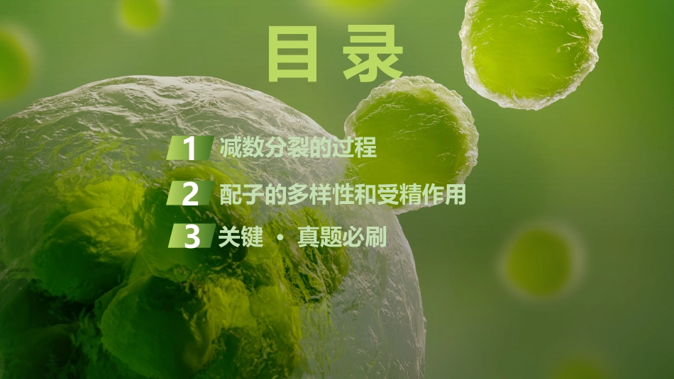 2026创新设计高考总复习生物（人教版）复习讲义-第15课时　减数分裂和受精作用.pptx_第3页