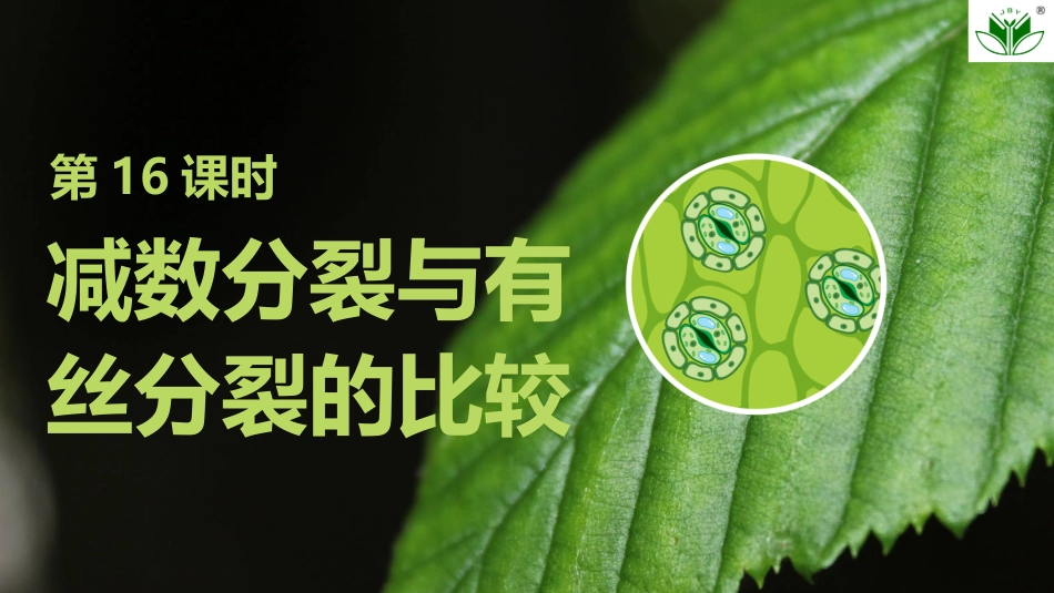 2026创新设计高考总复习生物（人教版）复习讲义-第16课时　减数分裂与有丝分裂的比较.pptx_第1页