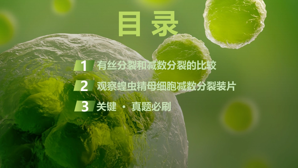 2026创新设计高考总复习生物（人教版）复习讲义-第16课时　减数分裂与有丝分裂的比较.pptx_第3页