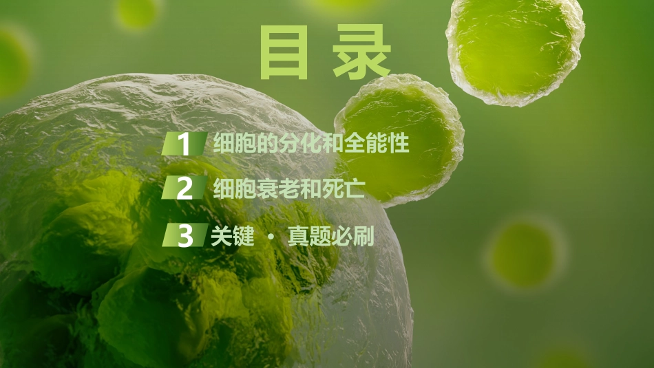 2026创新设计高考总复习生物（人教版）复习讲义-第17课时　细胞的分化、衰老和死亡.pptx_第3页