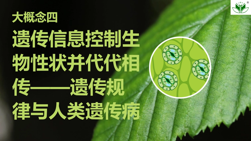 2026创新设计高考总复习生物（人教版）复习讲义-第18课时　一对相对性状的杂交实验.pptx_第1页