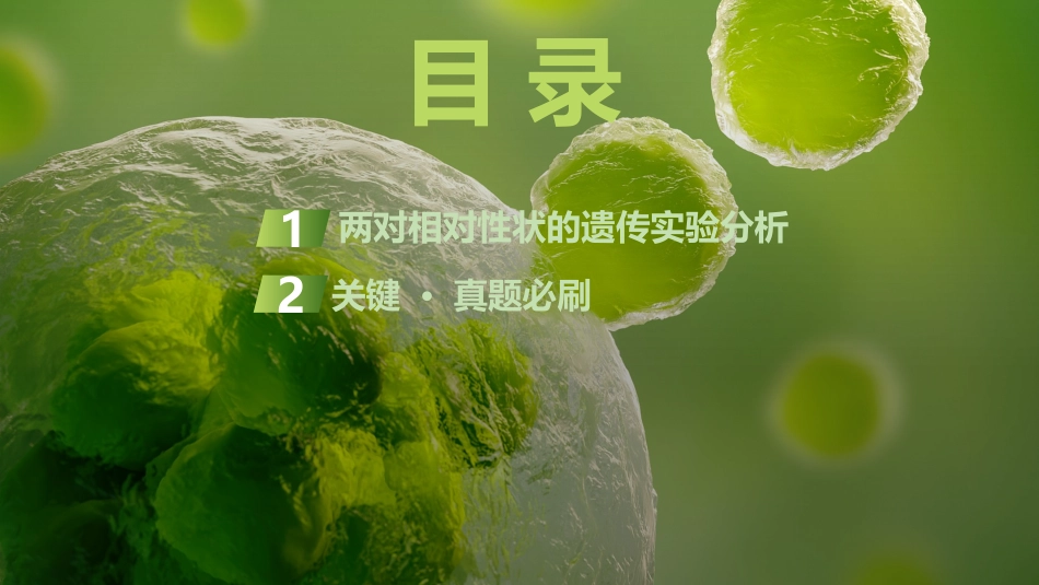 2026创新设计高考总复习生物（人教版）复习讲义-第19课时　自由组合定律.pptx_第3页
