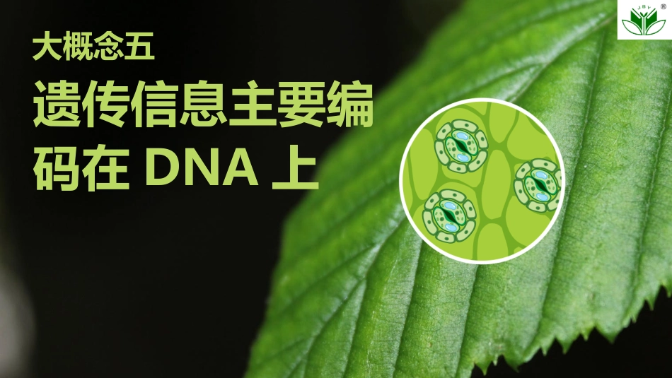 2026创新设计高考总复习生物（人教版）复习讲义-第22课时　DNA是主要的遗传物质.pptx_第1页