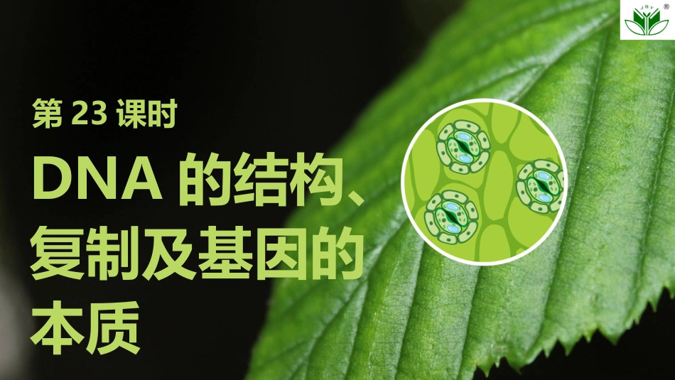 2026创新设计高考总复习生物（人教版）复习讲义-第23课时　DNA的结构、复制及基因的本质.pptx_第1页