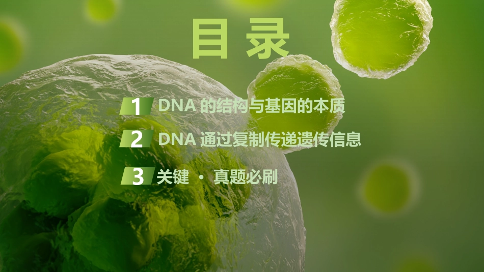 2026创新设计高考总复习生物（人教版）复习讲义-第23课时　DNA的结构、复制及基因的本质.pptx_第3页