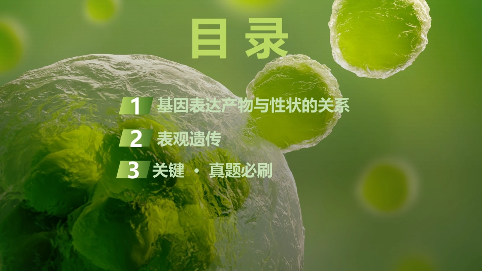 2026创新设计高考总复习生物（人教版）复习讲义-第25课时　基因表达与性状的关系.pptx_第3页