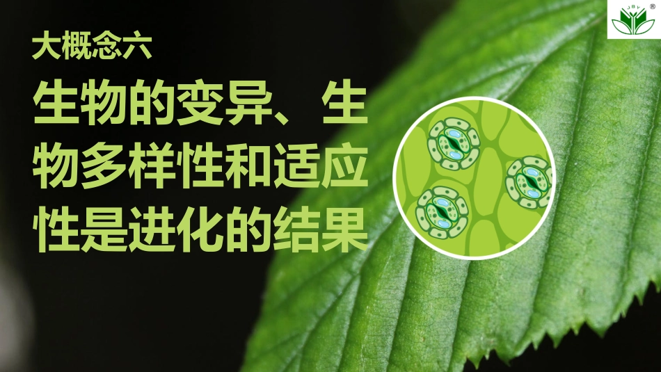 2026创新设计高考总复习生物（人教版）复习讲义-第26课时　基因突变与基因重组.pptx_第1页