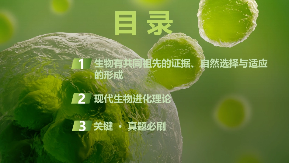 2026创新设计高考总复习生物（人教版）复习讲义-第28课时　生物的进化.pptx_第3页
