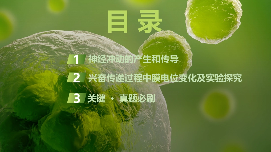 2026创新设计高考总复习生物（人教版）复习讲义-第31课时　神经冲动的产生和传导.pptx_第3页