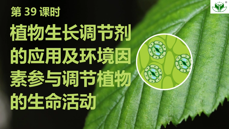 2026创新设计高考总复习生物（人教版）复习讲义-第39课时　植物生长调节剂的应用及环境因素参与调节植物的生命活动.pptx_第1页