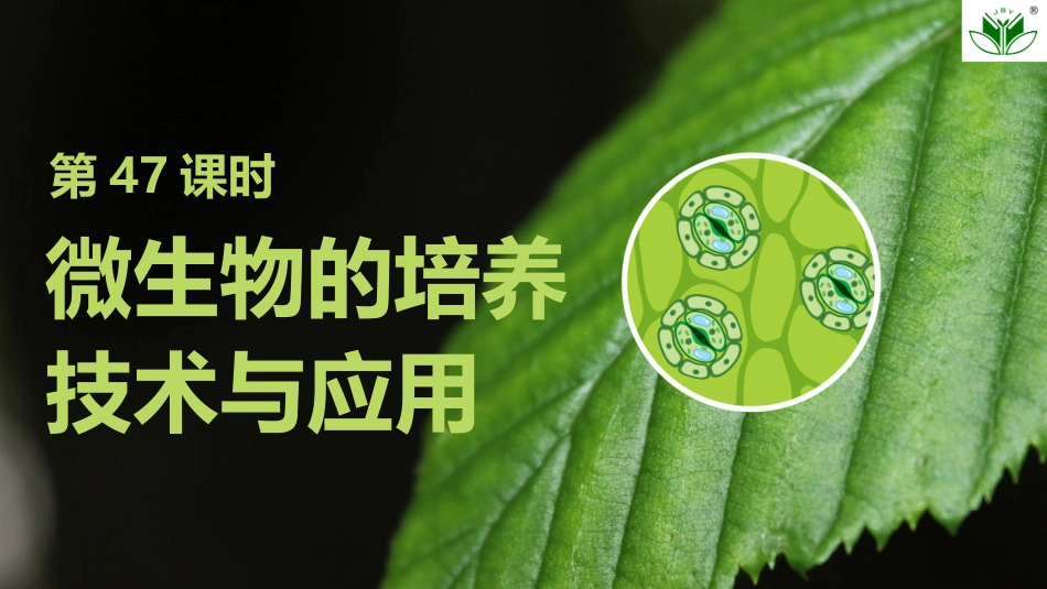 2026创新设计高考总复习生物（人教版）复习讲义-第47课时　微生物的培养技术与应用.pptx_第1页