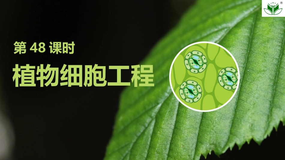 2026创新设计高考总复习生物（人教版）复习讲义-第48课时　植物细胞工程.pptx_第1页