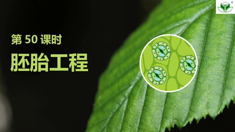 2026创新设计高考总复习生物（人教版）复习讲义-第50课时　胚胎工程.pptx_第1页