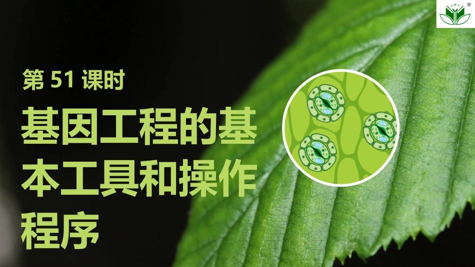 2026创新设计高考总复习生物（人教版）复习讲义-第51课时　基因工程的基本工具和操作程序.pptx_第1页
