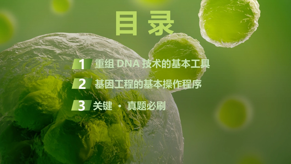 2026创新设计高考总复习生物（人教版）复习讲义-第51课时　基因工程的基本工具和操作程序.pptx_第3页