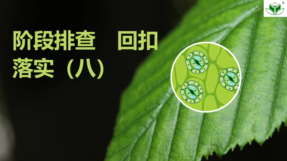 2026创新设计高考总复习生物（人教版）复习讲义-阶段排查　回扣落实(八).pptx_第1页