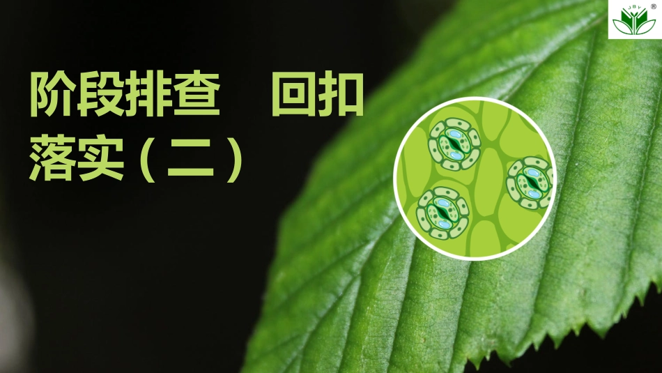 2026创新设计高考总复习生物（人教版）复习讲义-阶段排查　回扣落实(二).pptx_第1页