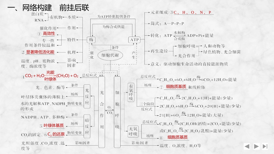 2026创新设计高考总复习生物（人教版）复习讲义-阶段排查　回扣落实(二).pptx_第2页