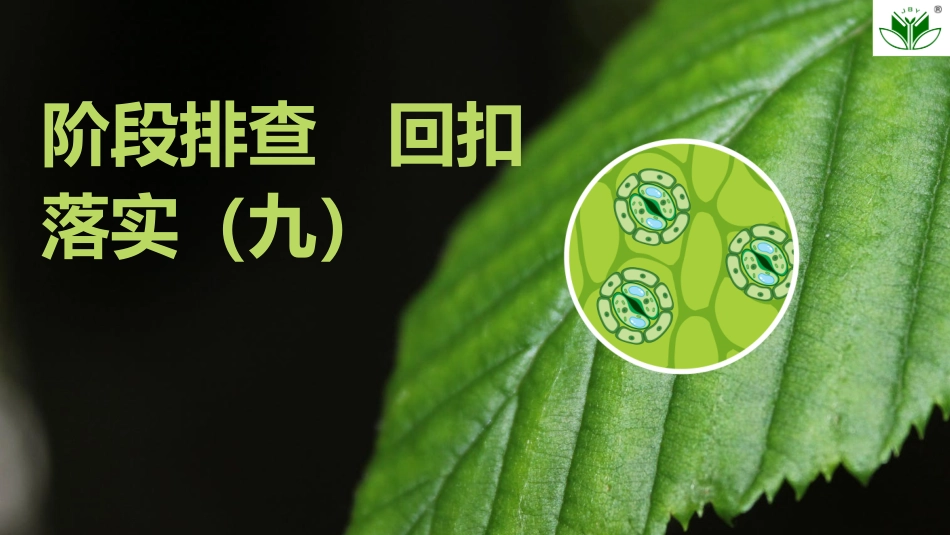 2026创新设计高考总复习生物（人教版）复习讲义-阶段排查　回扣落实(九).pptx_第1页