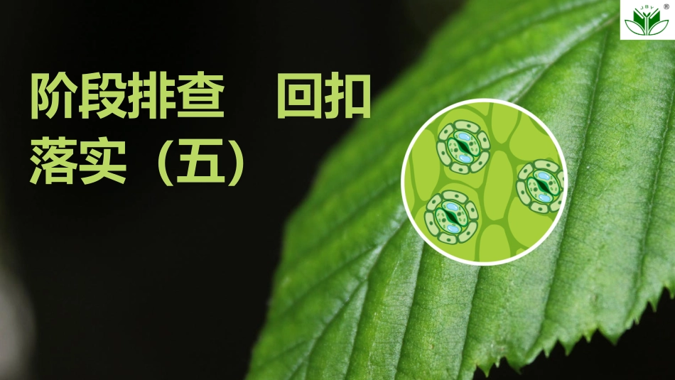 2026创新设计高考总复习生物（人教版）复习讲义-阶段排查　回扣落实(五).pptx_第1页