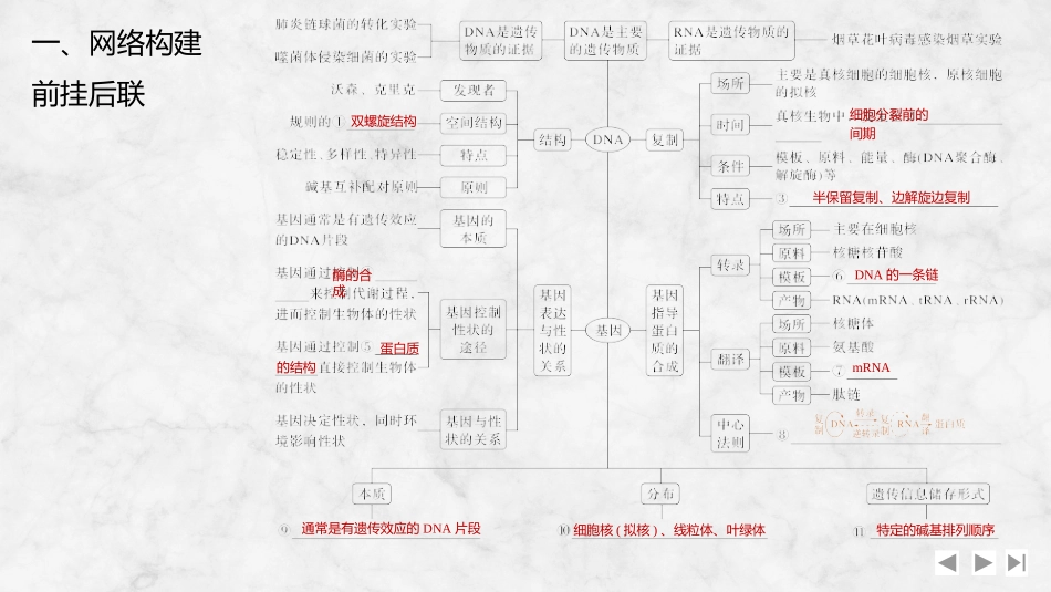 2026创新设计高考总复习生物（人教版）复习讲义-阶段排查　回扣落实(五).pptx_第2页