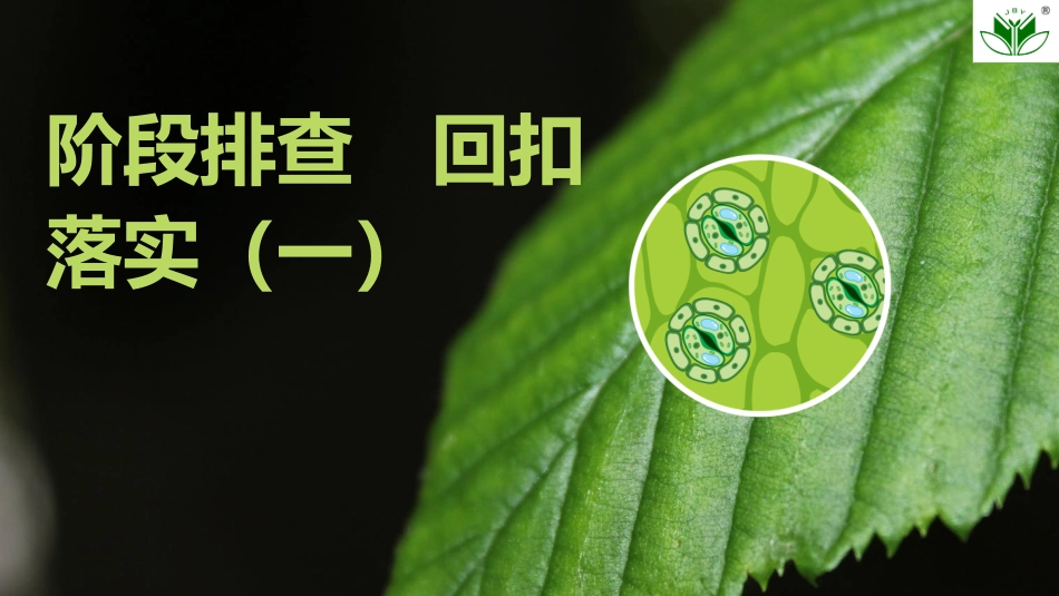 2026创新设计高考总复习生物（人教版）复习讲义-阶段排查　回扣落实(一).pptx_第1页