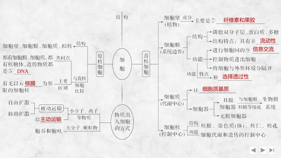 2026创新设计高考总复习生物（人教版）复习讲义-阶段排查　回扣落实(一).pptx_第3页