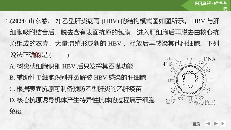 2026创新设计高考总复习生物（人教版）复习讲义-微专题1　病 毒.pptx_第3页