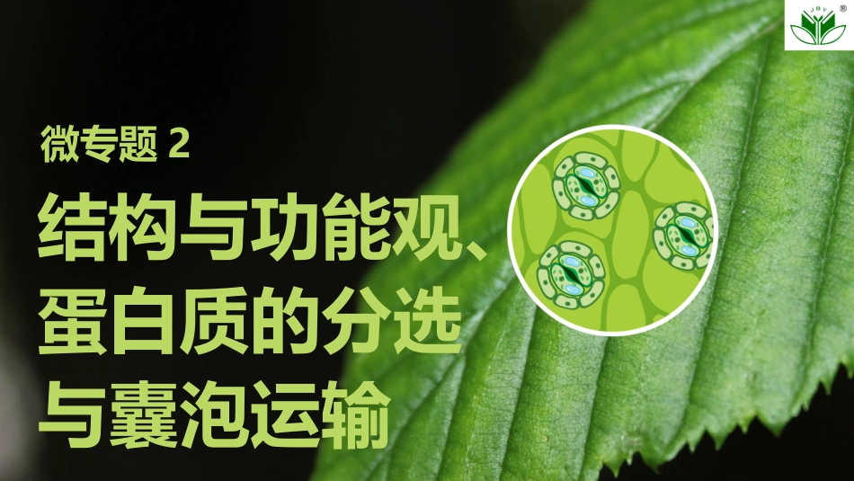 2026创新设计高考总复习生物（人教版）复习讲义-微专题2　结构与功能观、蛋白质的分选与囊泡运输.pptx_第1页