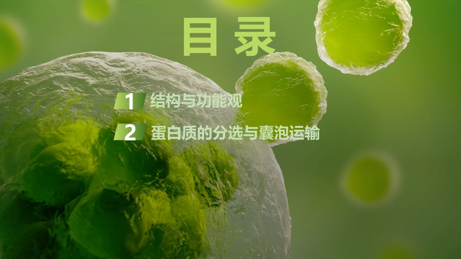 2026创新设计高考总复习生物（人教版）复习讲义-微专题2　结构与功能观、蛋白质的分选与囊泡运输.pptx_第3页