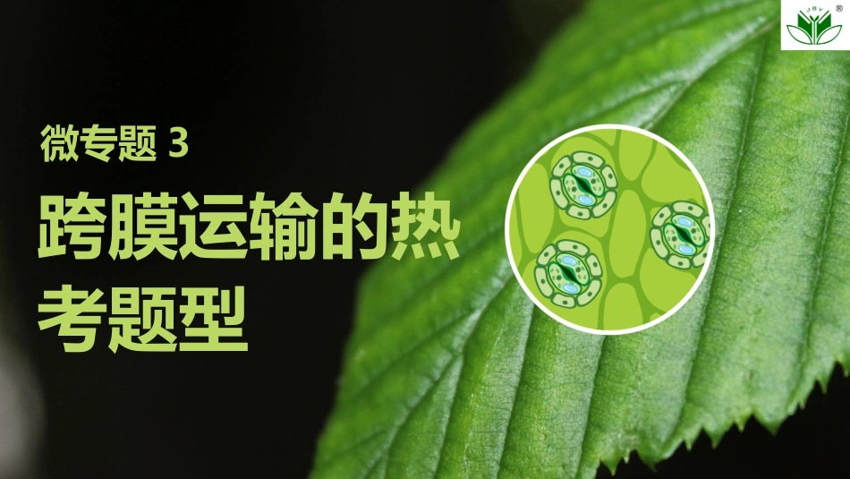 2026创新设计高考总复习生物（人教版）复习讲义-微专题3　跨膜运输的热考题型.pptx_第1页
