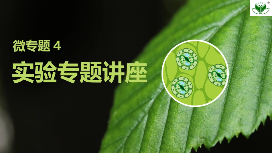 2026创新设计高考总复习生物（人教版）复习讲义-微专题4　实验专题讲座.pptx_第1页