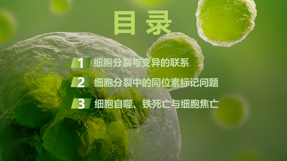 2026创新设计高考总复习生物（人教版）复习讲义-微专题7　细胞分裂与变异、细胞自噬、焦亡、铁死亡等.pptx_第3页