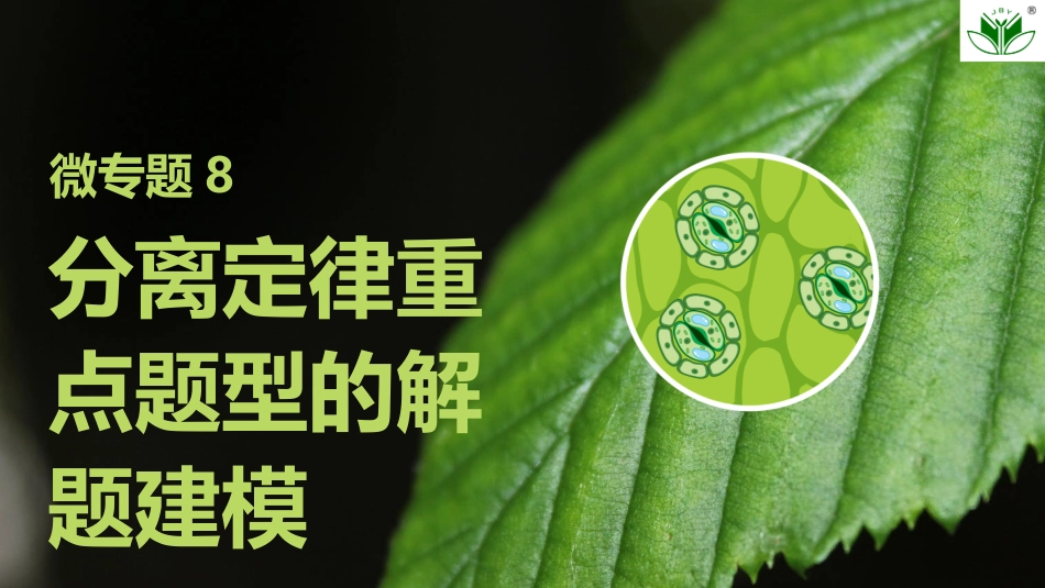 2026创新设计高考总复习生物（人教版）复习讲义-微专题8　分离定律重点题型的解题建模.pptx_第1页