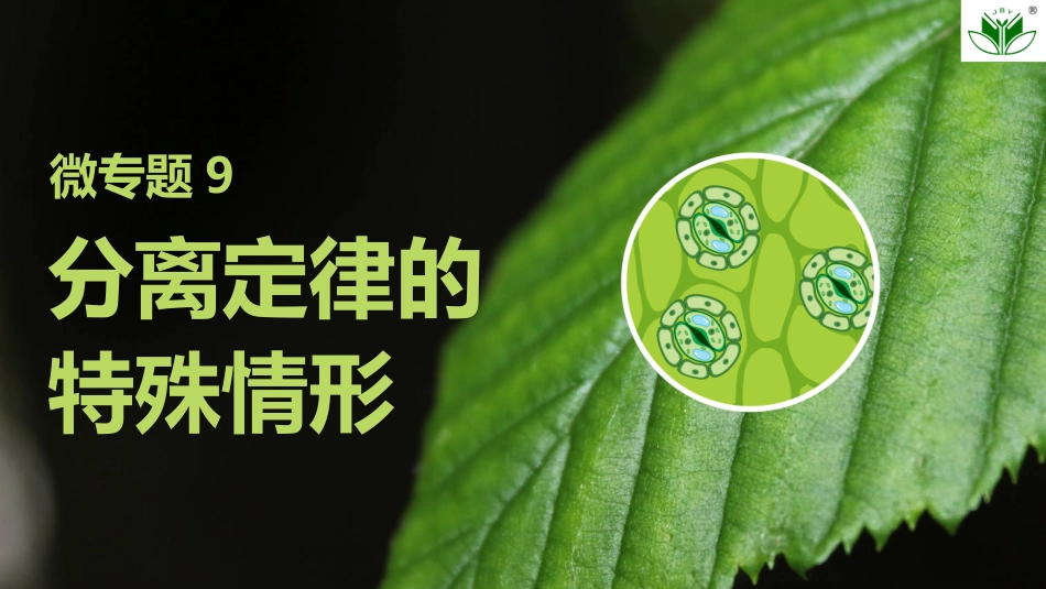 2026创新设计高考总复习生物（人教版）复习讲义-微专题9　分离定律的特殊情形.pptx_第1页