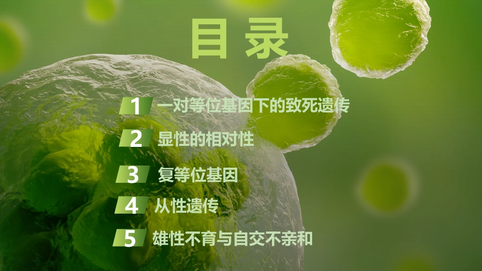 2026创新设计高考总复习生物（人教版）复习讲义-微专题9　分离定律的特殊情形.pptx_第3页