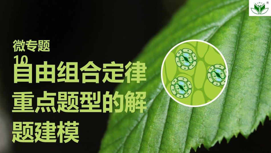 2026创新设计高考总复习生物（人教版）复习讲义-微专题10　自由组合定律重点题型的解题建模.pptx_第1页