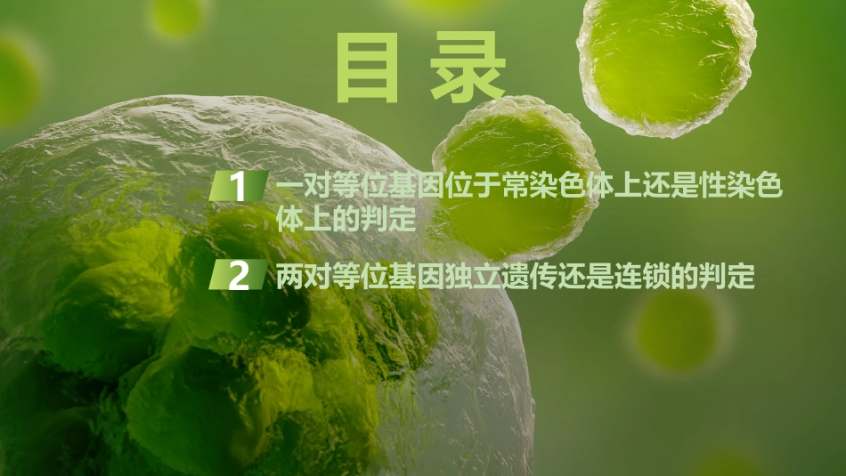 2026创新设计高考总复习生物（人教版）复习讲义-微专题11　基因定位.pptx_第3页