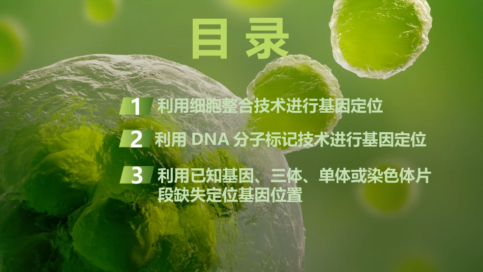 2026创新设计高考总复习生物（人教版）复习讲义-微专题12　基因定位(进阶).pptx_第2页