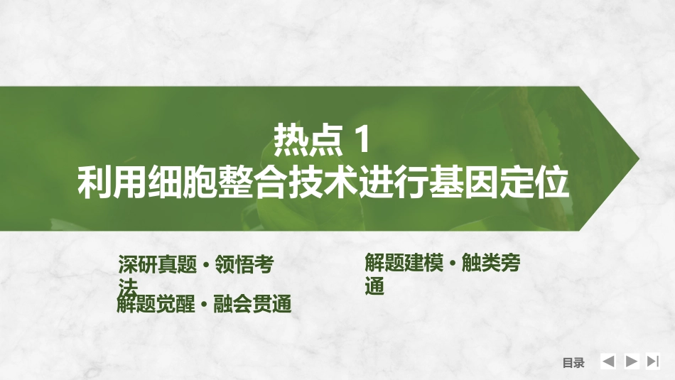 2026创新设计高考总复习生物（人教版）复习讲义-微专题12　基因定位(进阶).pptx_第3页